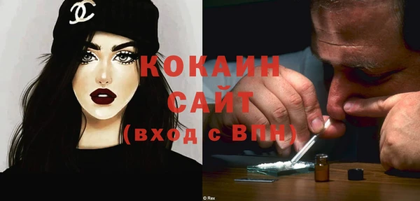 ГАЛЛЮЦИНОГЕННЫЕ ГРИБЫ Кукмор