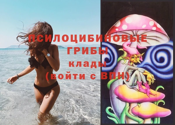 прущая мука Кулебаки